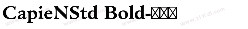 CapieNStd Bold字体转换